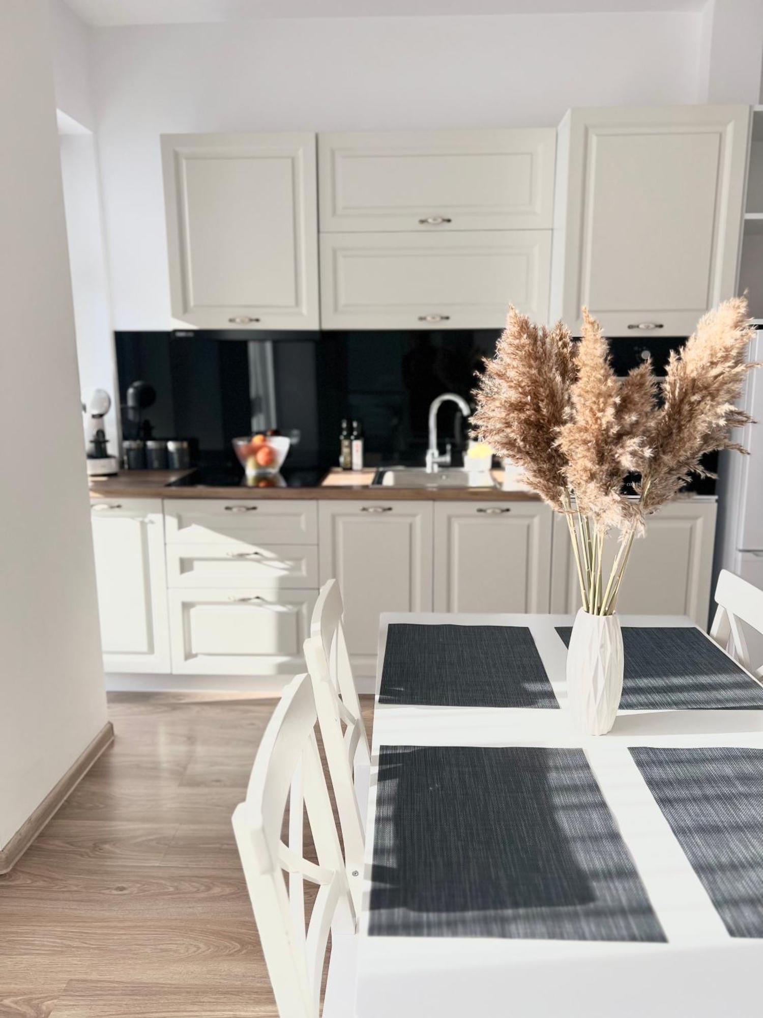 Apartment Central Residence Baia Mare